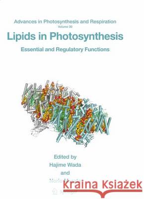 Lipids in Photosynthesis: Essential and Regulatory Functions Wada, Hajime 9789400730731 Springer