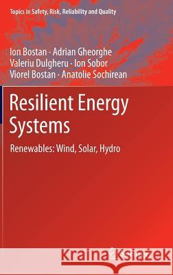 Resilient Energy Systems: Renewables: Wind, Solar, Hydro Bostan, Ion 9789400741881 Springer