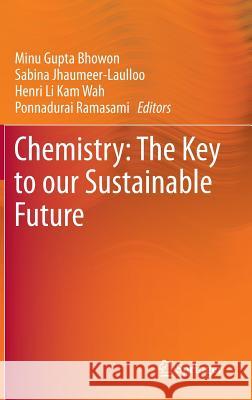 Chemistry: The Key to Our Sustainable Future Gupta Bhowon, Minu 9789400773882 Springer
