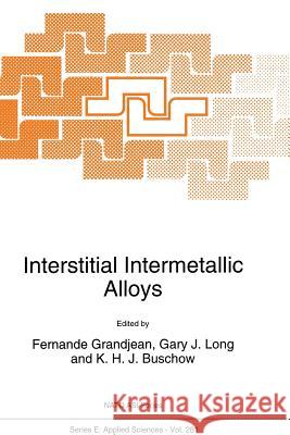 Interstitial Intermetallic Alloys F. Grandjean, G.J Long, K.H.J Buschow 9789401041300 Springer