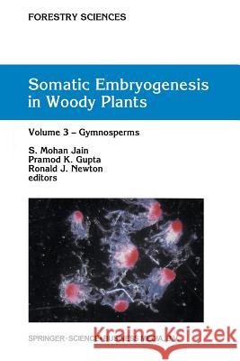 Somatic Embryogenesis in Woody Plants: Volume 3: Gymnosperms Jain, S. Mohan 9789401044158 Springer