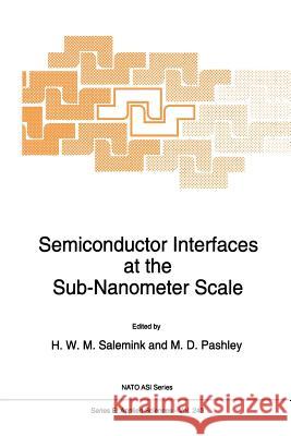 Semiconductor Interfaces at the Sub-Nanometer Scale H.W.M Salemink, M.D. Pashley 9789401049009 Springer
