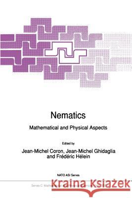 Nematics: Mathematical and Physical Aspects Coron, Jean-Michel 9789401055161
