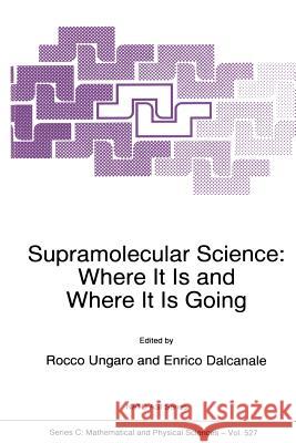 Supramolecular Science: Where It Is and Where It Is Going Ungaro, Rocco 9789401059336 Springer