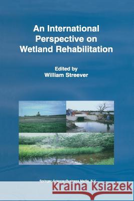 An International Perspective on Wetland Rehabilitation W. J. Streever 9789401059725 Springer
