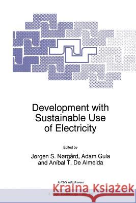 Development with Sustainable Use of Electricity Jorgen S. Norgard                        Adam Gula                                A. Almeida 9789401061391 Springer