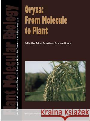 Oryza: From Molecule to Plant Takuji Sasaki Graham Moore  9789401064460 Springer