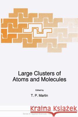 Large Clusters of Atoms and Molecules T. P. Martin 9789401065795 Springer
