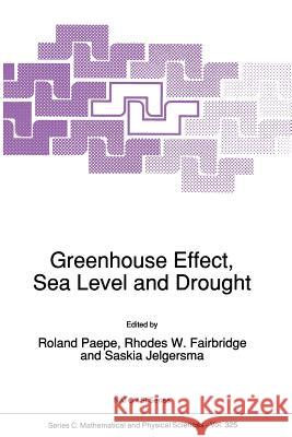 Greenhouse Effect, Sea Level and Drought R. Paepe Rhodes W. Fairbridge Saskia Jelgersma 9789401068017 Springer