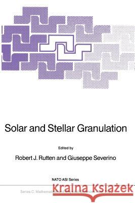 Solar and Stellar Granulation R. J. Rutten Giuseppe Severino 9789401068994 Springer