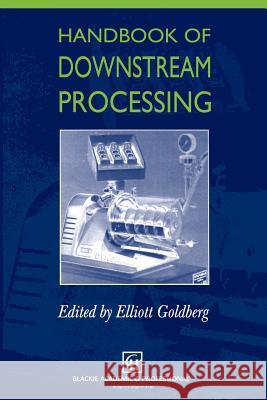 Handbook of Downstream Processing E. Goldberg 9789401071987 Springer