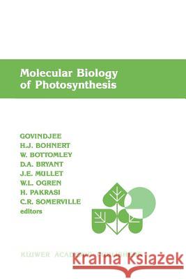 Molecular Biology of Photosynthesis Govindjee                                Hans J. Bohnert W. Bottomley 9789401075176