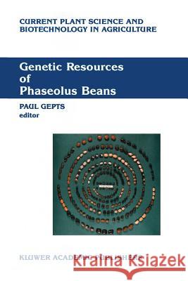 Genetic Resources of Phaseolus Beans: Their Maintenance, Domestication, Evolution and Utilization Gepts, Paul 9789401077538 Springer