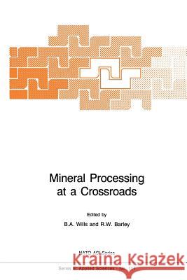 Mineral Processing at a Crossroads: Problems and Prospects Wills, B. a. 9789401084932 Springer