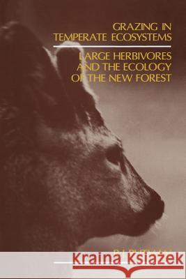 Grazing in Temperate Ecosystems: Large Herbivores and the Ecology of the New Forest Putman, R. J. 9789401160834 Springer