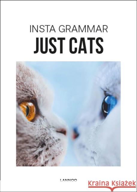 Insta Grammar Just Cats Irene Schampaert 9789401463485 Lannoo Publishers