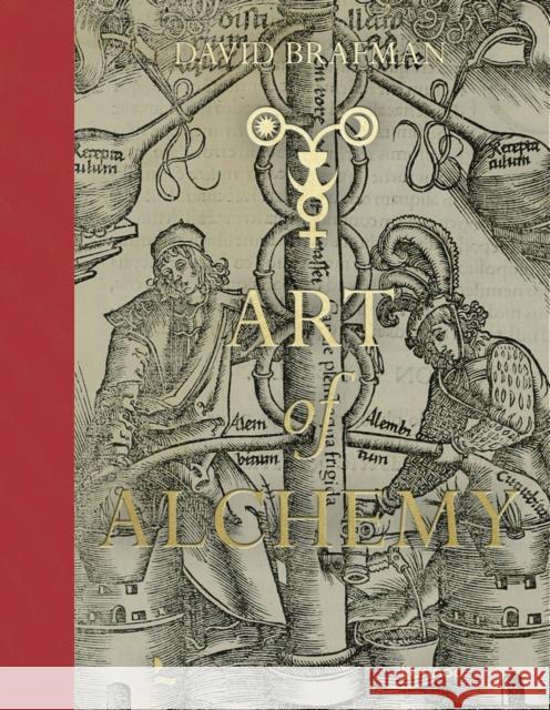 Art of Alchemy David Brafman 9789401488808