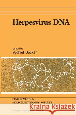 Herpesvirus DNA: Recent Studies on the Organization of Viral Genomes, Mrna Transcription, DNA Replication, Defective Dna, and Viral DNA Becker, Yechiel 9789401568999