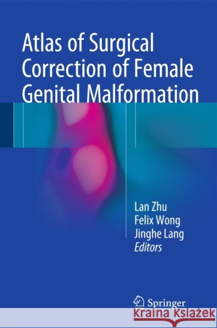 Atlas of Surgical Correction of Female Genital Malformation Lan Zhu Felix Wong Jinghe Lang 9789401772457