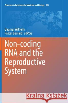 Non-Coding RNA and the Reproductive System Wilhelm, Dagmar 9789401774154 Springer