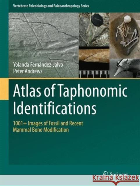 Atlas of Taphonomic Identifications: 1001+ Images of Fossil and Recent Mammal Bone Modification Fernandez-Jalvo, Yolanda 9789401774307 Springer