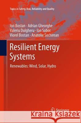 Resilient Energy Systems: Renewables: Wind, Solar, Hydro Bostan, Ion 9789401779272 Springer