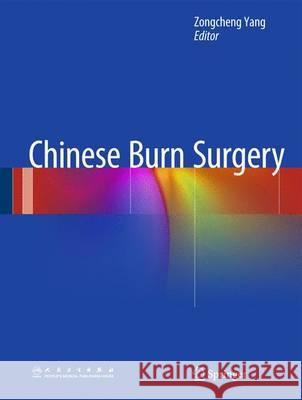 Chinese Burn Surgery Zongcheng Yang   9789401785747 Springer