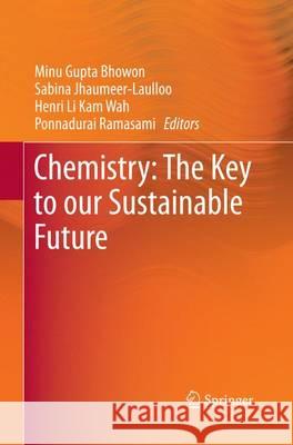 Chemistry: The Key to Our Sustainable Future Gupta Bhowon, Minu 9789402400243 Springer