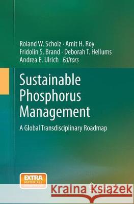 Sustainable Phosphorus Management: A Global Transdisciplinary Roadmap Scholz, Roland W. 9789402402469