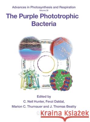 The Purple Phototrophic Bacteria C. N. Hunter Fevzi Daldal Marion C. Thurnauer 9789402404685 Springer