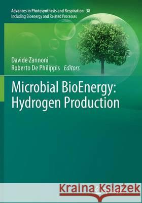 Microbial Bioenergy: Hydrogen Production Zannoni, Davide 9789402406122 Springer