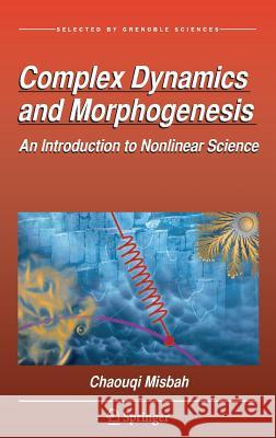 Complex Dynamics and Morphogenesis: An Introduction to Nonlinear Science Misbah, Chaouqi 9789402410181 Springer