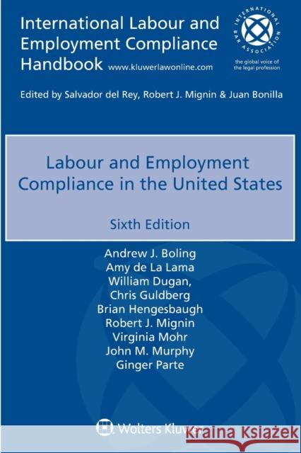 Labour and Employment Compliance in the United States Andrew J. Boling Amy de L William Dugan 9789403528137