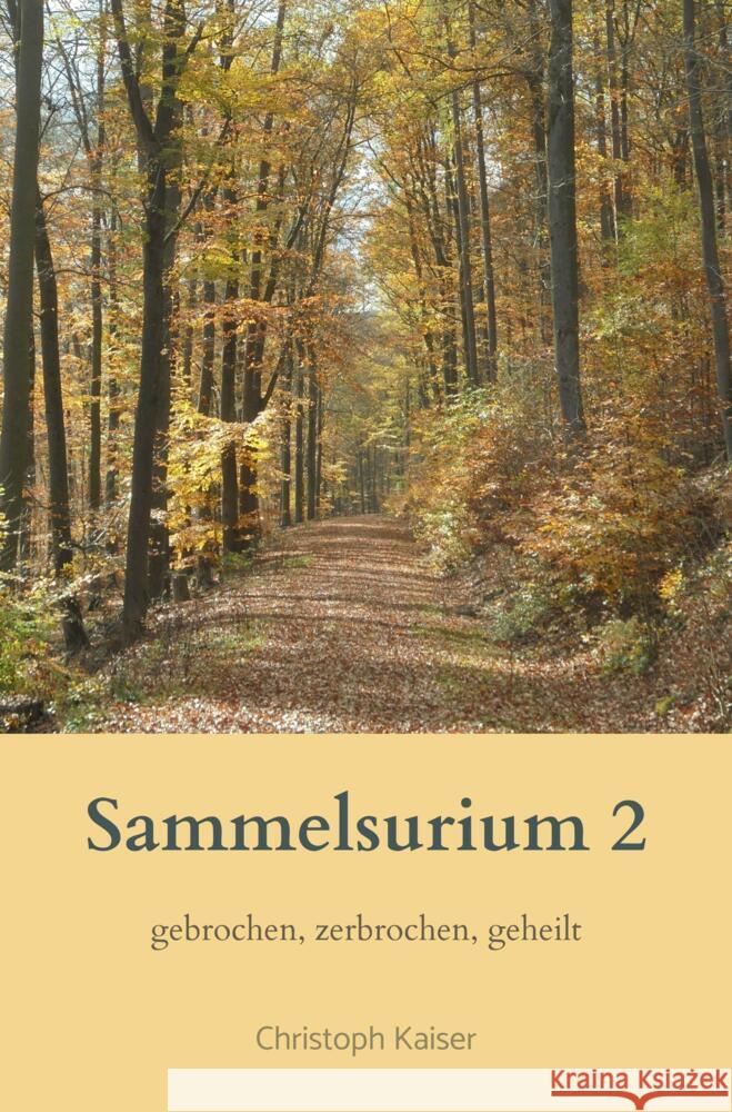 Sammelsurium 2 Kaiser, Christoph 9789403621524 Bookmundo