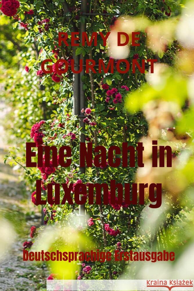 Eine Nacht in Luxemburg Gourmont, Remy de 9789403649221