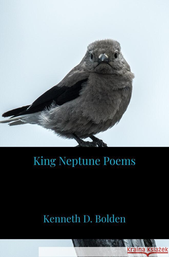 King Neptune Poems Bolden, Kenneth D. 9789403652580