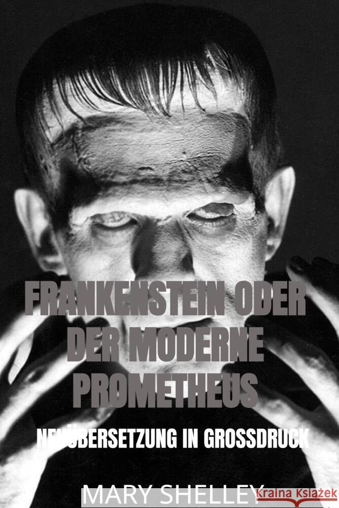 Frankenstein oder der moderne Prometheus Shelley, Mary 9789403654980 Bookmundo