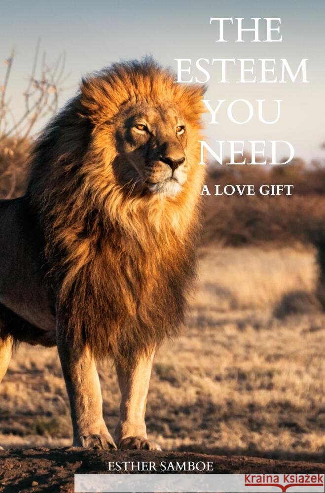 The esteem you need Samboe, Esther 9789403662015