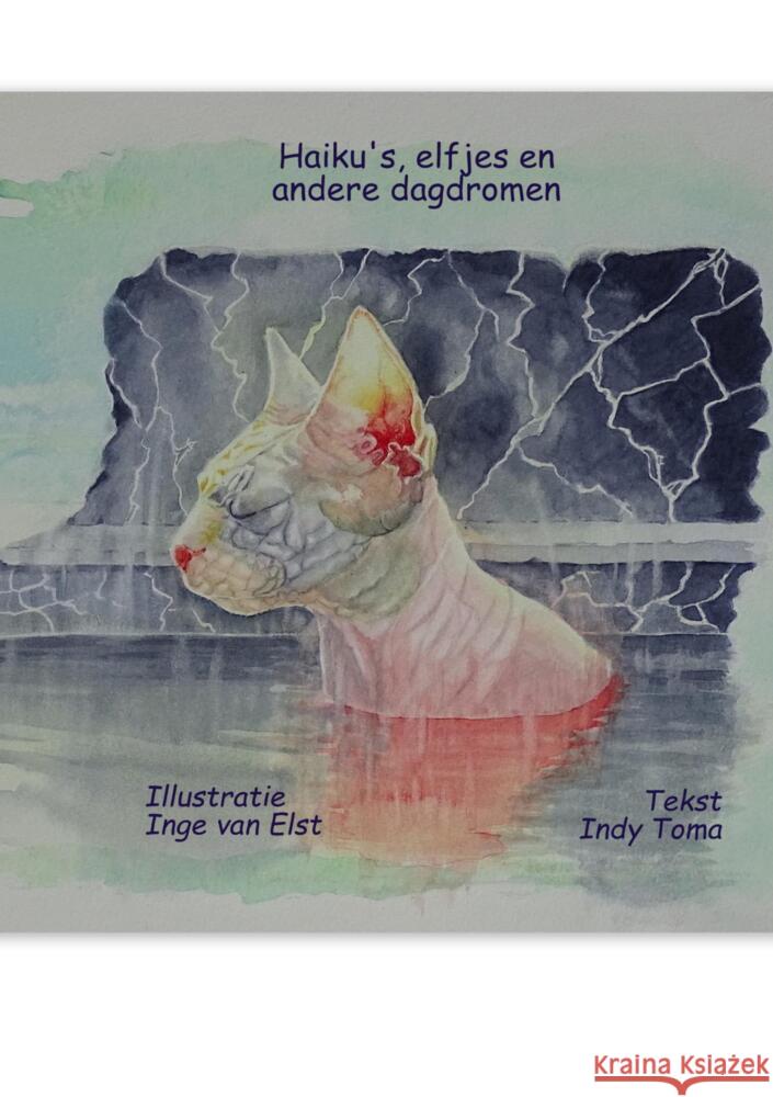 Haiku's, elfjes en andere dagdromen Toma, Indy 9789403677774