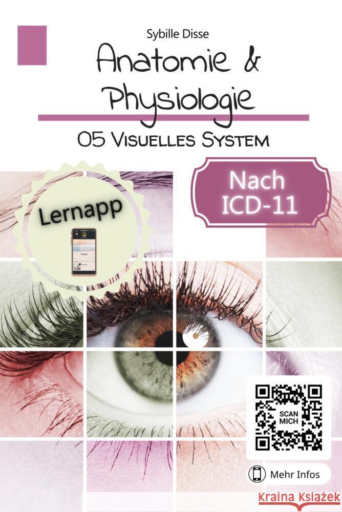 Anatomie & Physiologie Band 05: Visuelles System Sybille Disse 9789403691404