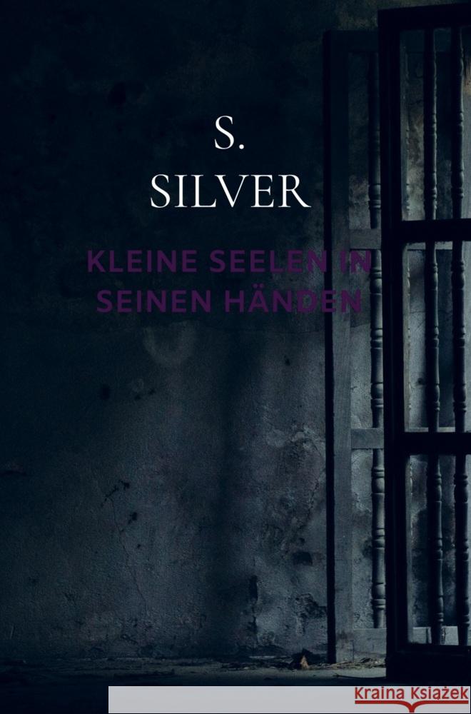 Kleine Seelen in seinen Händen Silver, Samuel 9789403715391