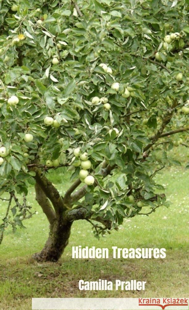 Hidden Treasures Camilla Praller 9789403746296