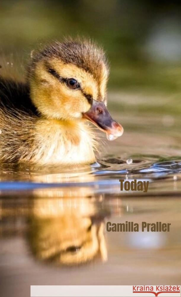 Today Praller, Camilla 9789403746326