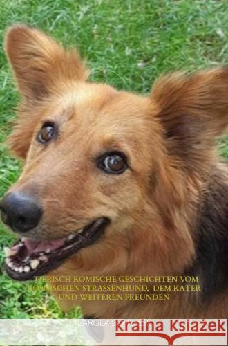 Tierisch komische Geschichten vom Bosnischen Straßenhund,  dem Kater und weiteren Freunden Schiller , Carola 9789403779423 vonjournalisten.de