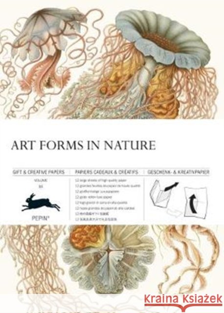 Art Forms in Nature: Gift & Creative Paper Book Vol. 83 Pepin Van Roojen 9789460090950 Pepin Press