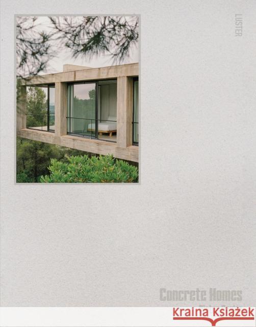 Concrete Homes Pieter Peulen 9789460583902 Luster Publishing