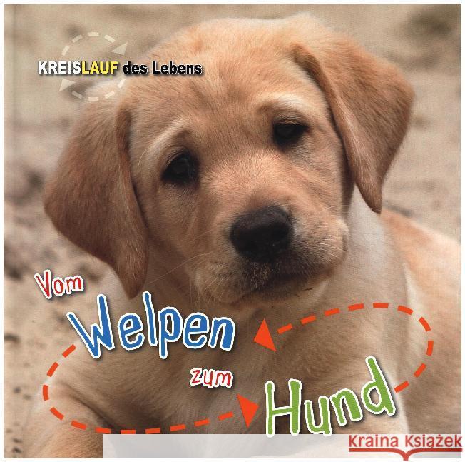 Vom Welpen zum Hund : Besteht aus: 1 Buch, 1 E-Book Bedoyere, Camilla de la 9789461754271 BVK Buch Verlag Kempen