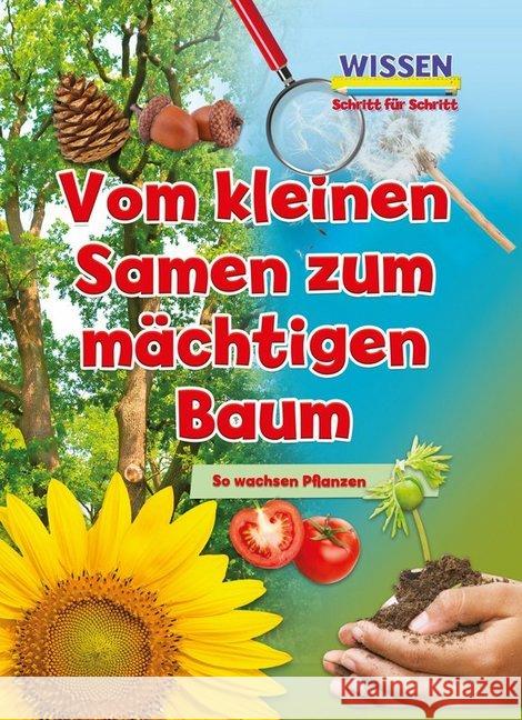 Vom kleinen Samen zum mächtigen Baum : So wachsen Pflanzen. Mit digitalem Zusatzangebot Owen, Ruth 9789463414180 Ars Scribendi