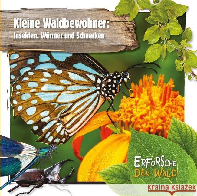 Kleine Waldbewohner: Insekten, Würmer und Schnecken : Mit digitalem Zusatzangebot Twiddy, Robin 9789463415675 Ars Scribendi