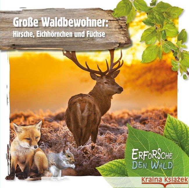 Große Waldbewohner: Hirsche, Eichhörnchen und Füchse : Mit digitalem Zusatzangebot Twiddy, Robin 9789463415699 Ars Scribendi